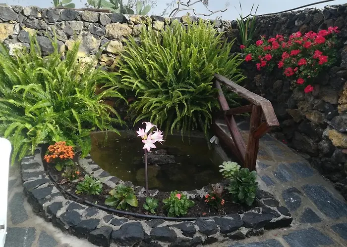 Guinderos Icod de los Vinos