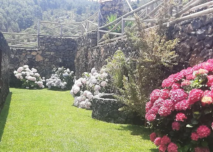 Guinderos * Icod De Los Vinos