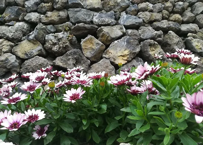 Guinderos Séjour à la campagne